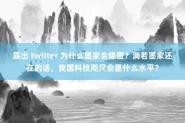 露出 twitter 为什么墨家会隐匿？淌若墨家还在的话，我国科技咫尺会是什么水平？