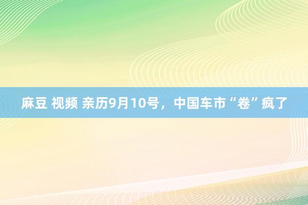 麻豆 视频 亲历9月10号，中国车市“卷”疯了