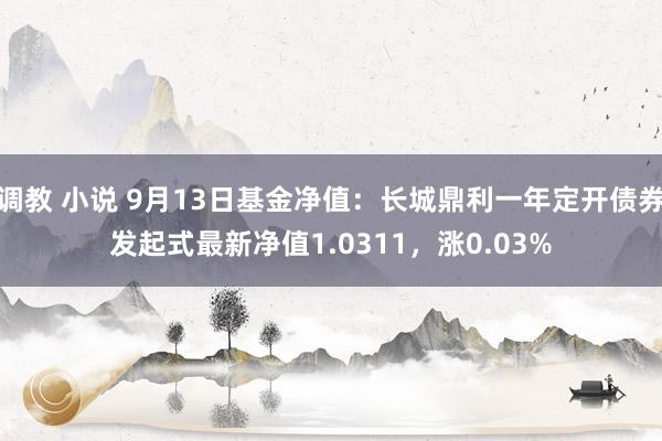 调教 小说 9月13日基金净值：长城鼎利一年定开债券发起式最新净值1.0311，涨0.03%