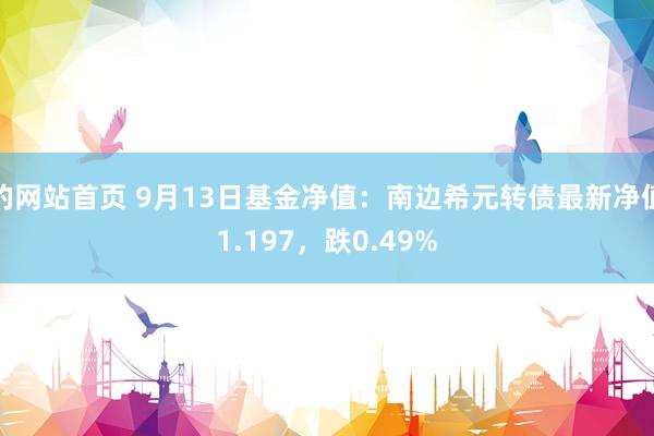 的网站首页 9月13日基金净值：南边希元转债最新净值1.197，跌0.49%