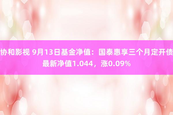 协和影视 9月13日基金净值：国泰惠享三个月定开债最新净值1.044，涨0.09%