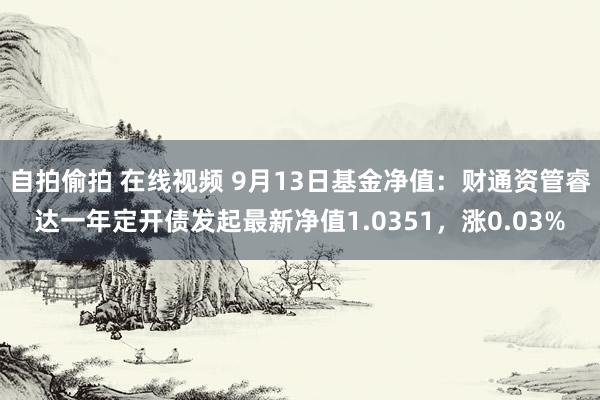 自拍偷拍 在线视频 9月13日基金净值：财通资管睿达一年定开债发起最新净值1.0351，涨0.03%