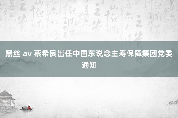 黑丝 av 蔡希良出任中国东说念主寿保障集团党委通知