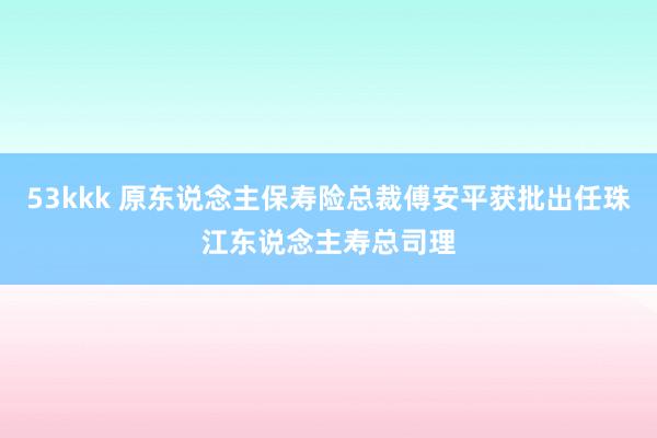 53kkk 原东说念主保寿险总裁傅安平获批出任珠江东说念主寿总司理