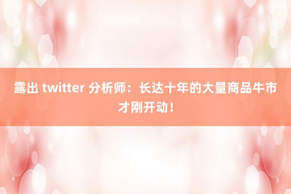 露出 twitter 分析师：长达十年的大量商品牛市才刚开动！