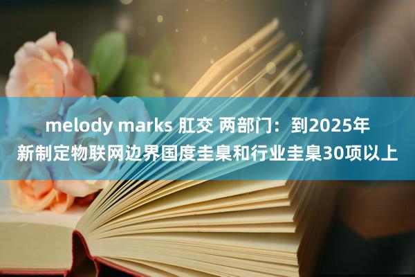 melody marks 肛交 两部门：到2025年新制定物联网边界国度圭臬和行业圭臬30项以上