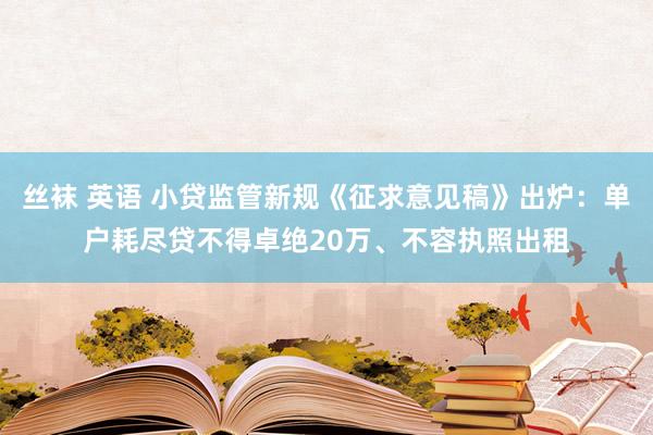 丝袜 英语 小贷监管新规《征求意见稿》出炉：单户耗尽贷不得卓绝20万、不容执照出租