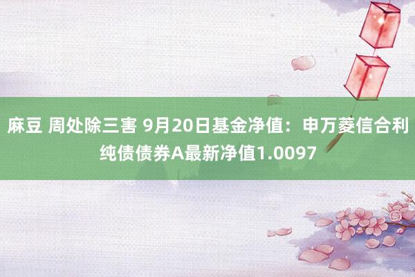 麻豆 周处除三害 9月20日基金净值：申万菱信合利纯债债券A最新净值1.0097