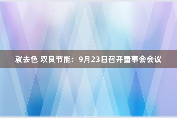 就去色 双良节能：9月23日召开董事会会议