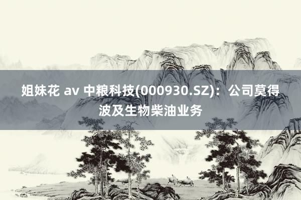 姐妹花 av 中粮科技(000930.SZ)：公司莫得波及生物柴油业务