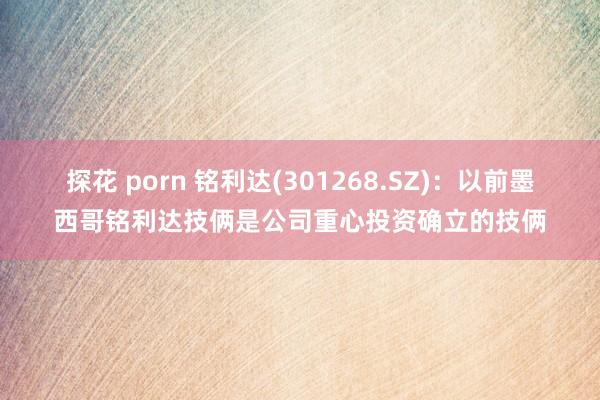 探花 porn 铭利达(301268.SZ)：以前墨西哥铭利达技俩是公司重心投资确立的技俩