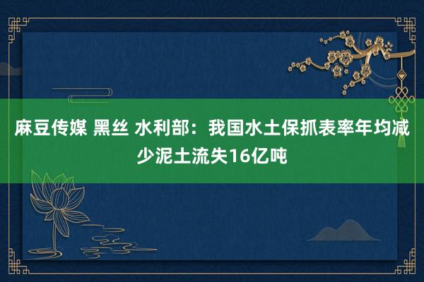 麻豆传媒 黑丝 水利部：我国水土保抓表率年均减少泥土流失16亿吨