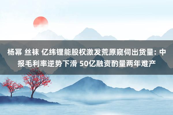 杨幂 丝袜 亿纬锂能股权激发荒原窥伺出货量: 中报毛利率逆势下滑 50亿融资酌量两年难产