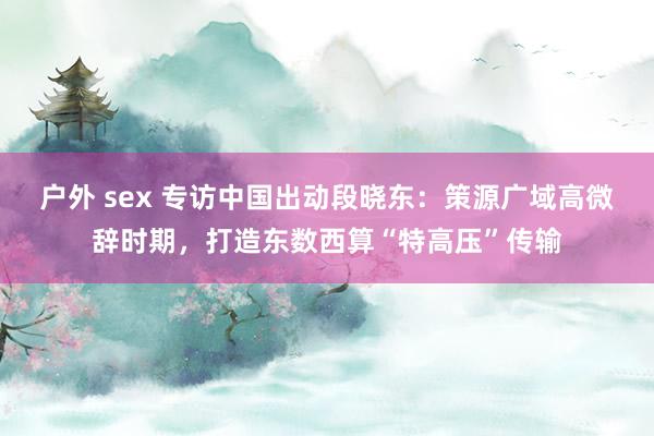 户外 sex 专访中国出动段晓东：策源广域高微辞时期，打造东数西算“特高压”传输