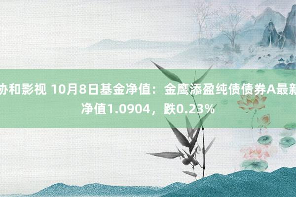 协和影视 10月8日基金净值：金鹰添盈纯债债券A最新净值1.0904，跌0.23%