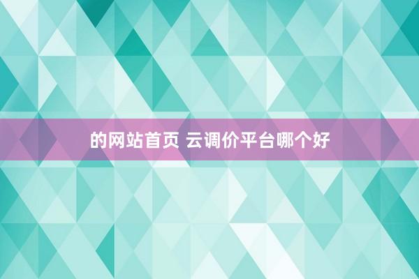 的网站首页 云调价平台哪个好