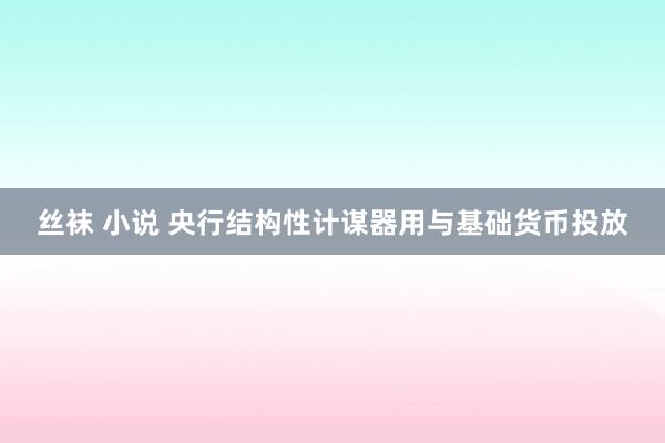 丝袜 小说 央行结构性计谋器用与基础货币投放