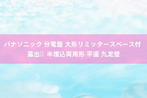 パナソニック 分電盤 大形リミッタースペース付 露出・半埋込両用形 平遥 九龙壁