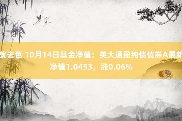 就去色 10月14日基金净值：英大通盈纯债债券A最新净值1.0453，涨0.06%