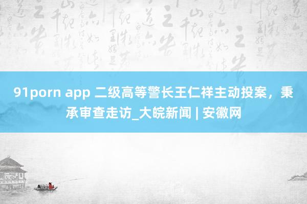 91porn app 二级高等警长王仁祥主动投案，秉承审查走访_大皖新闻 | 安徽网