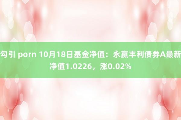 勾引 porn 10月18日基金净值：永赢丰利债券A最新净值1.0226，涨0.02%