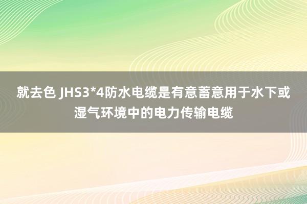 就去色 JHS3*4防水电缆是有意蓄意用于水下或湿气环境中的电力传输电缆