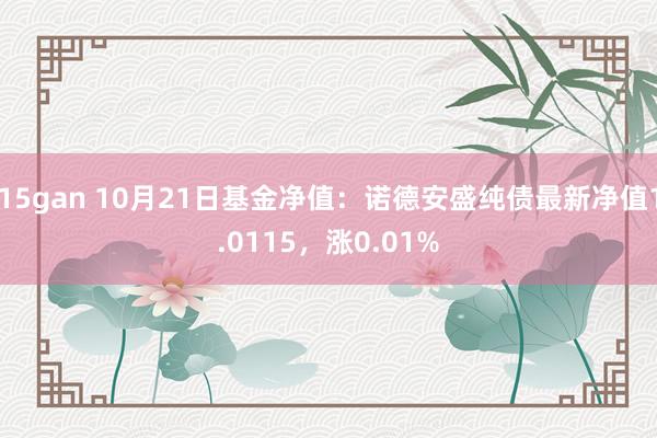 15gan 10月21日基金净值：诺德安盛纯债最新净值1.0115，涨0.01%