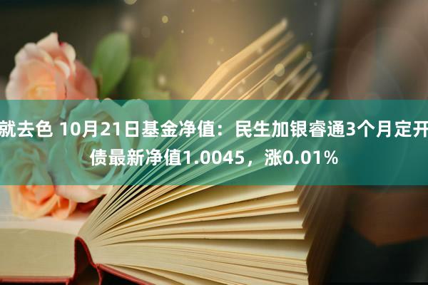 就去色 10月21日基金净值：民生加银睿通3个月定开债最新净值1.0045，涨0.01%