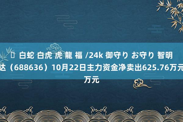 ✨白蛇 白虎 虎 龍 福 /24k 御守り お守り 智明达（688636）10月22日主力资金净卖出625.76万元