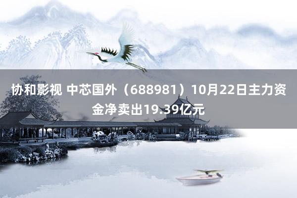 协和影视 中芯国外（688981）10月22日主力资金净卖出19.39亿元