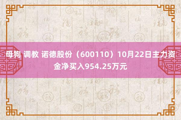 母狗 调教 诺德股份（600110）10月22日主力资金净买入954.25万元