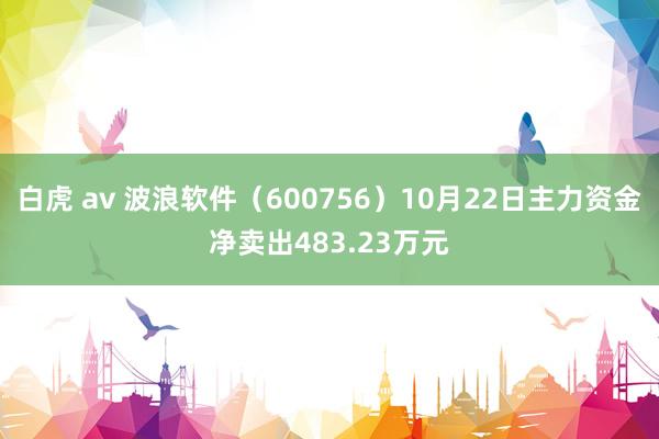 白虎 av 波浪软件（600756）10月22日主力资金净卖出483.23万元