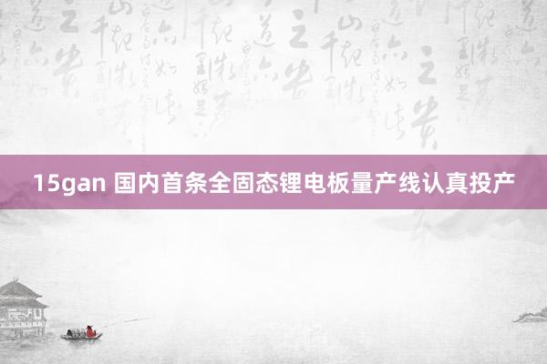 15gan 国内首条全固态锂电板量产线认真投产