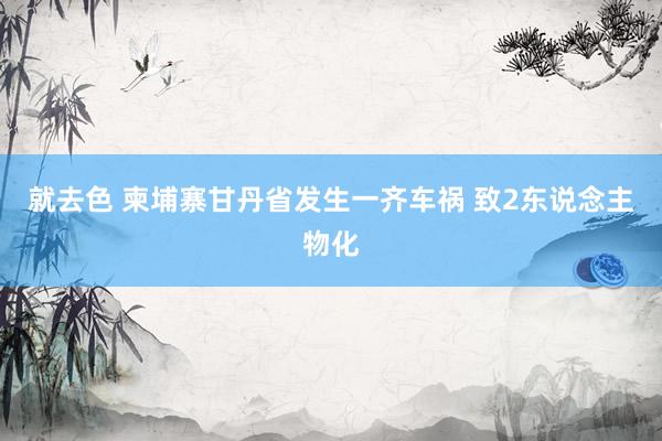 就去色 柬埔寨甘丹省发生一齐车祸 致2东说念主物化