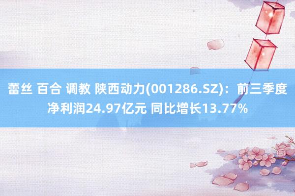 蕾丝 百合 调教 陕西动力(001286.SZ)：前三季度净利润24.97亿元 同比增长13.77%