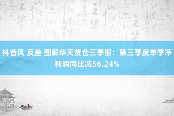 抖音风 反差 图解华天货仓三季报：第三季度单季净利润同比减56.24%