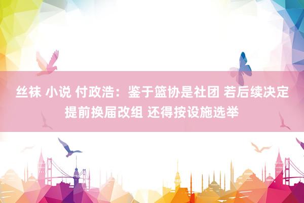 丝袜 小说 付政浩：鉴于篮协是社团 若后续决定提前换届改组 还得按设施选举