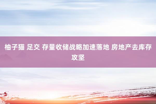 柚子猫 足交 存量收储战略加速落地 房地产去库存攻坚