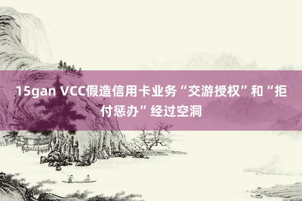 15gan VCC假造信用卡业务“交游授权”和“拒付惩办”经过空洞