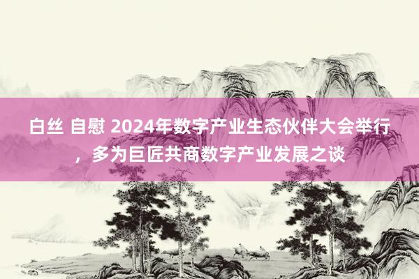 白丝 自慰 2024年数字产业生态伙伴大会举行，多为巨匠共商数字产业发展之谈