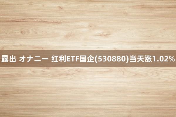 露出 オナニー 红利ETF国企(530880)当天涨1.02%