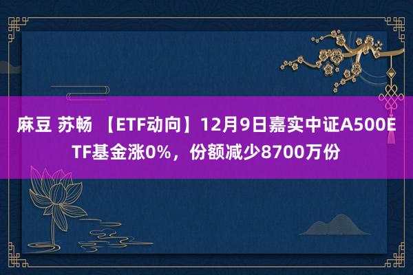 麻豆 苏畅 【ETF动向】12月9日嘉实中证A500ETF基金涨0%，份额减少8700万份