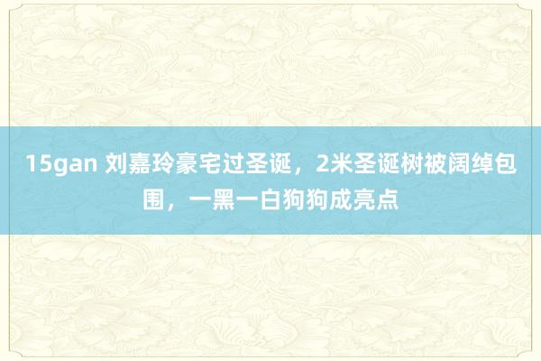 15gan 刘嘉玲豪宅过圣诞，2米圣诞树被阔绰包围，一黑一白狗狗成亮点