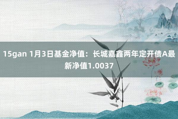 15gan 1月3日基金净值：长城嘉鑫两年定开债A最新净值1.0037