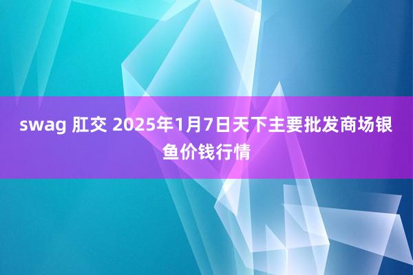 swag 肛交 2025年1月7日天下主要批发商场银鱼价钱行情