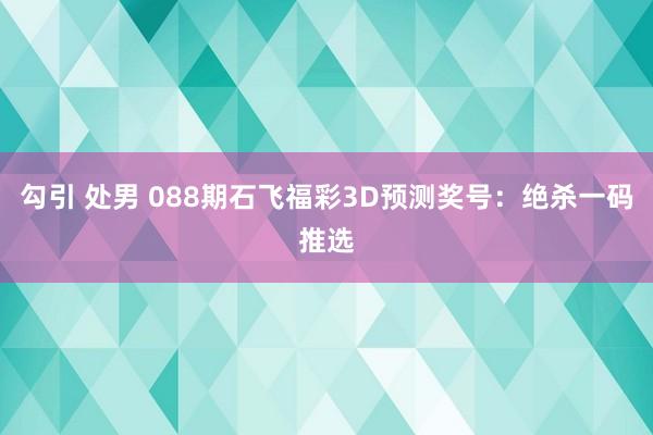 勾引 处男 088期石飞福彩3D预测奖号：绝杀一码推选